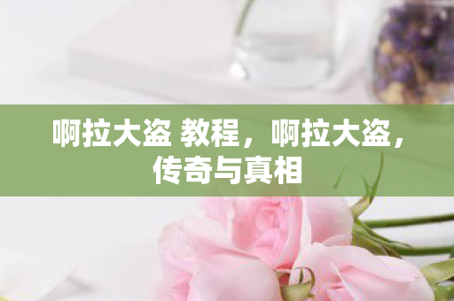 啊拉大盗 教程，啊拉大盗，传奇与真相