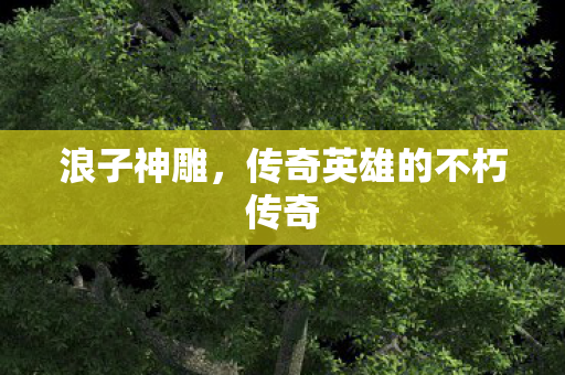浪子神雕，传奇英雄的不朽传奇