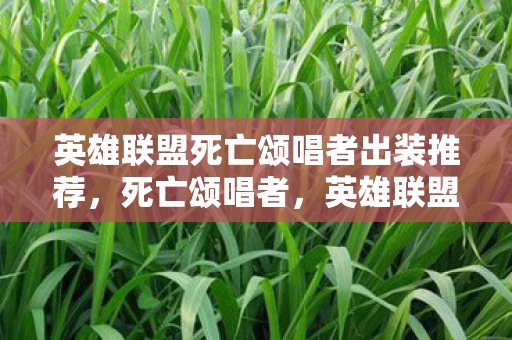 英雄联盟死亡颂唱者出装推荐，死亡颂唱者，英雄联盟中的终极法师出装指南