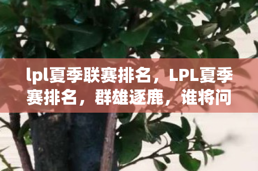 lpl夏季联赛排名，LPL夏季赛排名，群雄逐鹿，谁将问鼎？