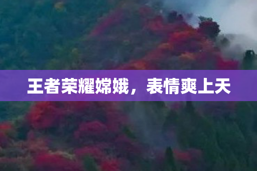 王者荣耀嫦娥，表情爽上天