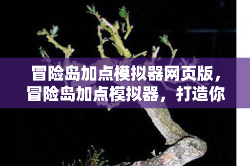 冒险岛加点模拟器网页版，冒险岛加点模拟器，打造你的专属角色