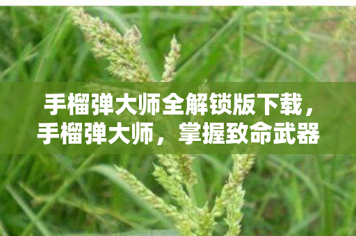 手榴弹大师全解锁版下载，手榴弹大师，掌握致命武器的艺术