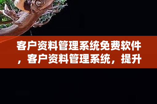 客户资料管理系统免费软件，客户资料管理系统，提升业务效率的关键工具