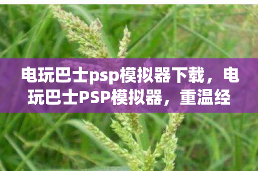 电玩巴士psp模拟器下载，电玩巴士PSP模拟器，重温经典，随时随地畅玩PSP游戏