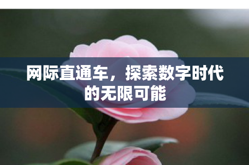 网际直通车，探索数字时代的无限可能