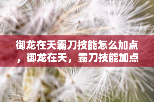 御龙在天霸刀技能怎么加点，御龙在天，霸刀技能加点图详解