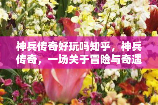 神兵传奇好玩吗知乎，神兵传奇，一场关于冒险与奇遇的盛宴