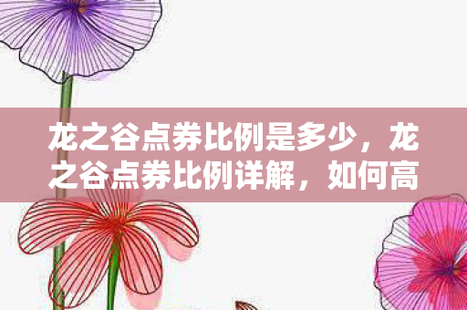 龙之谷点券比例是多少，龙之谷点券比例详解，如何高效利用你的虚拟货币