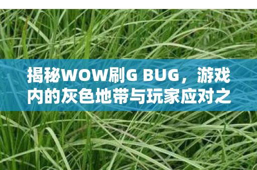 揭秘WOW刷G BUG，游戏内的灰色地带与玩家应对之道