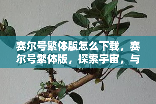 赛尔号繁体版怎么下载，赛尔号繁体版，探索宇宙，与精灵共舞