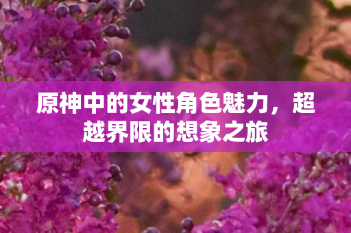 原神中的女性角色魅力，超越界限的想象之旅