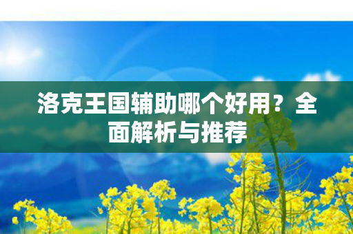 洛克王国辅助哪个好用？全面解析与推荐