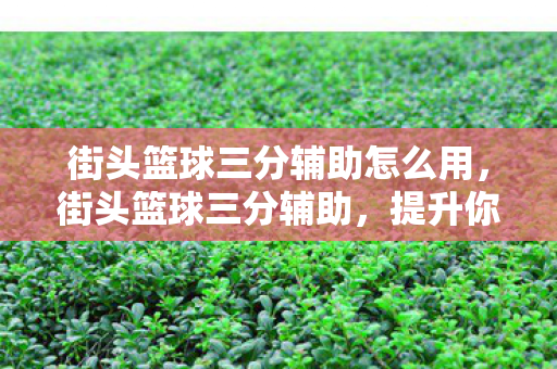 街头篮球三分辅助怎么用，街头篮球三分辅助，提升你的投篮命中率