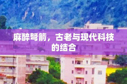 麻醉弩箭，古老与现代科技的结合