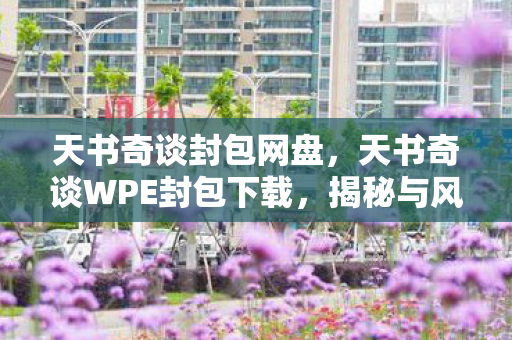 天书奇谈封包网盘，天书奇谈WPE封包下载，揭秘与风险