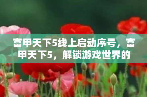 富甲天下5线上启动序号，富甲天下5，解锁游戏世界的钥匙