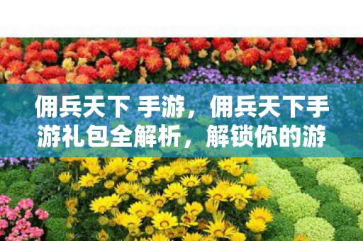 佣兵天下 手游，佣兵天下手游礼包全解析，解锁你的游戏之旅