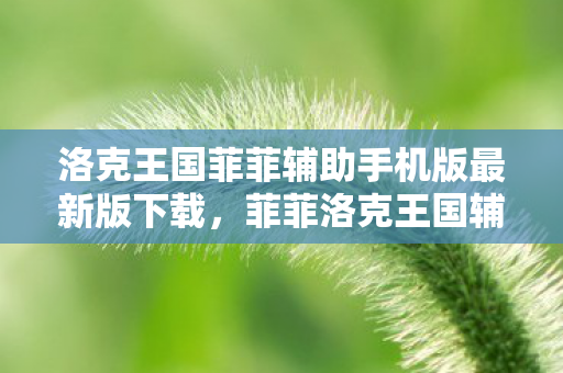 洛克王国菲菲辅助手机版最新版下载，菲菲洛克王国辅助最新版，解锁游戏新体验