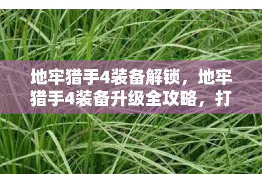 地牢猎手4装备解锁，地牢猎手4装备升级全攻略，打造无敌战士的必备指南