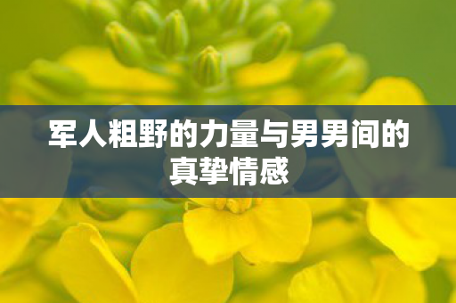 军人粗野的力量与男男间的真挚情感