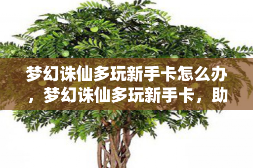 梦幻诛仙多玩新手卡怎么办，梦幻诛仙多玩新手卡，助你快速启程的神奇道具