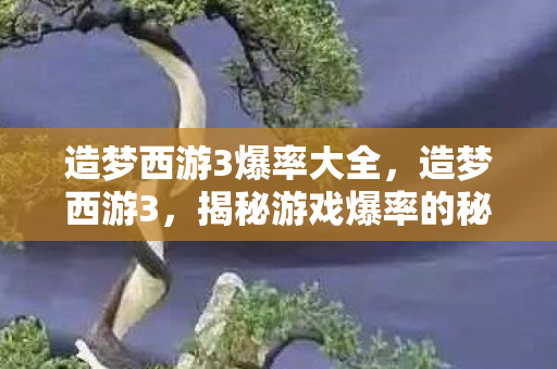 造梦西游3爆率大全，造梦西游3，揭秘游戏爆率的秘密