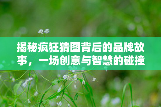 揭秘疯狂猜图背后的品牌故事，一场创意与智慧的碰撞