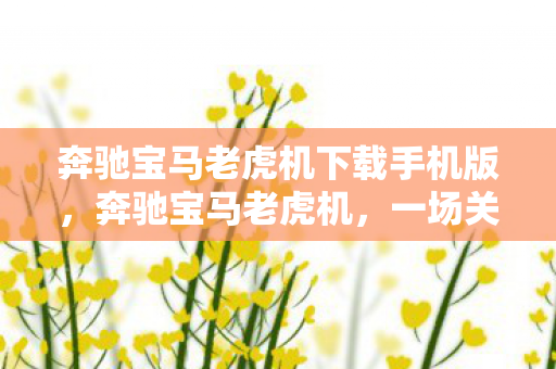 奔驰宝马老虎机下载手机版，奔驰宝马老虎机，一场关于速度与激情的较量