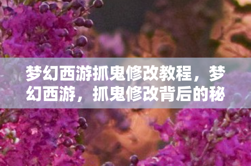 梦幻西游抓鬼修改教程，梦幻西游，抓鬼修改背后的秘密与影响