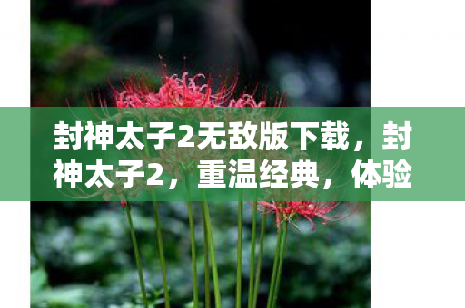 封神太子2无敌版下载，封神太子2，重温经典，体验无敌版魅力