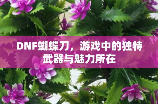 DNF蝴蝶刀，游戏中的独特武器与魅力所在