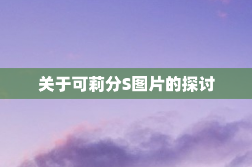 关于可莉分S图片的探讨