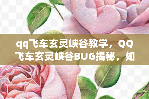 qq飞车玄灵峡谷教学，QQ飞车玄灵峡谷BUG揭秘，如何巧妙利用游戏漏洞提升游戏体验