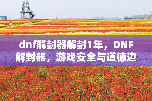 dnf解封器解封1年，DNF解封器，游戏安全与道德边界的灰色地带