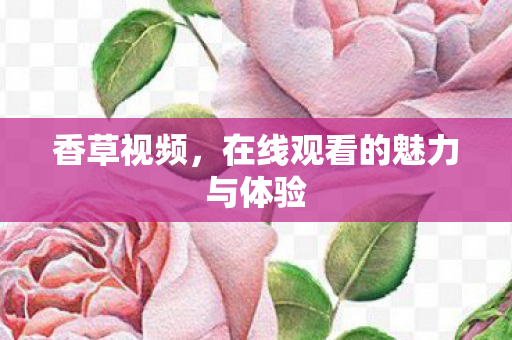 香草视频,在线观看的魅力与体验 香草视频,在线观看的魅力与体验