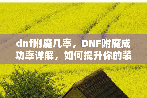 dnf附魔几率，DNF附魔成功率详解，如何提升你的装备属性？