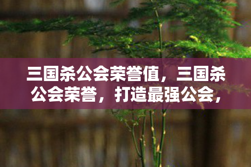 三国杀公会荣誉值，三国杀公会荣誉，打造最强公会，赢得荣耀之战