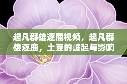 起凡群雄逐鹿视频，起凡群雄逐鹿，土豆的崛起与影响