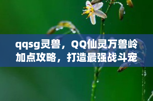 qqsg灵兽，QQ仙灵万兽岭加点攻略，打造最强战斗宠物