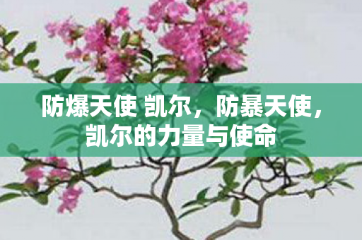 防爆天使 凯尔，防暴天使，凯尔的力量与使命