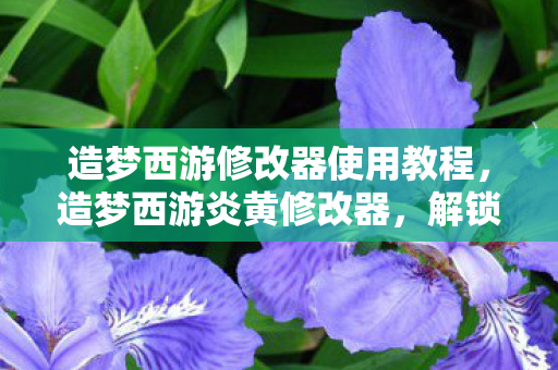 造梦西游修改器使用教程，造梦西游炎黄修改器，解锁游戏新境界的神奇工具