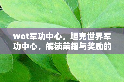 wot军功中心，坦克世界军功中心，解锁荣耀与奖励的殿堂