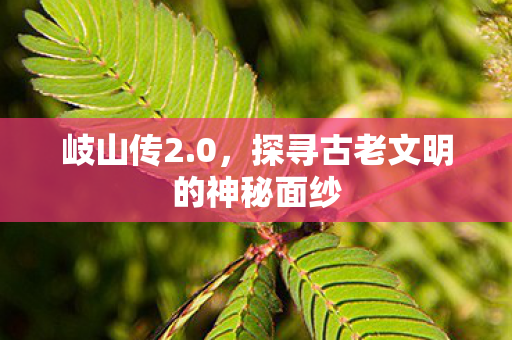 岐山传2.0，探寻古老文明的神秘面纱