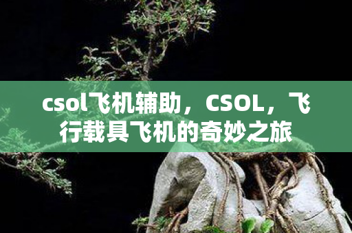 csol飞机辅助，CSOL，飞行载具飞机的奇妙之旅