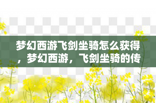 梦幻西游飞剑坐骑怎么获得，梦幻西游，飞剑坐骑的传奇之旅
