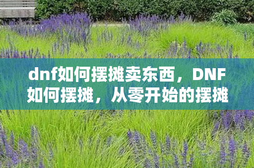 dnf如何摆摊卖东西，DNF如何摆摊，从零开始的摆摊攻略