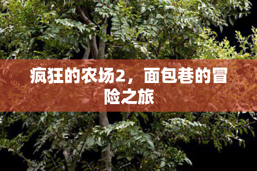 疯狂的农场2,面包巷的冒险之旅 疯狂的农场2,面包巷的冒险之旅