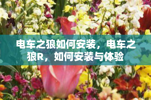 电车之狼如何安装，电车之狼R，如何安装与体验