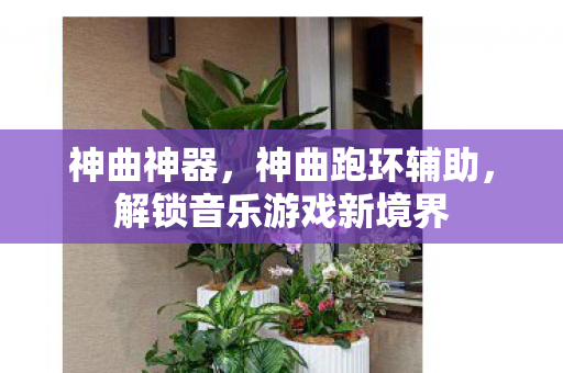 神曲神器，神曲跑环辅助，解锁音乐游戏新境界